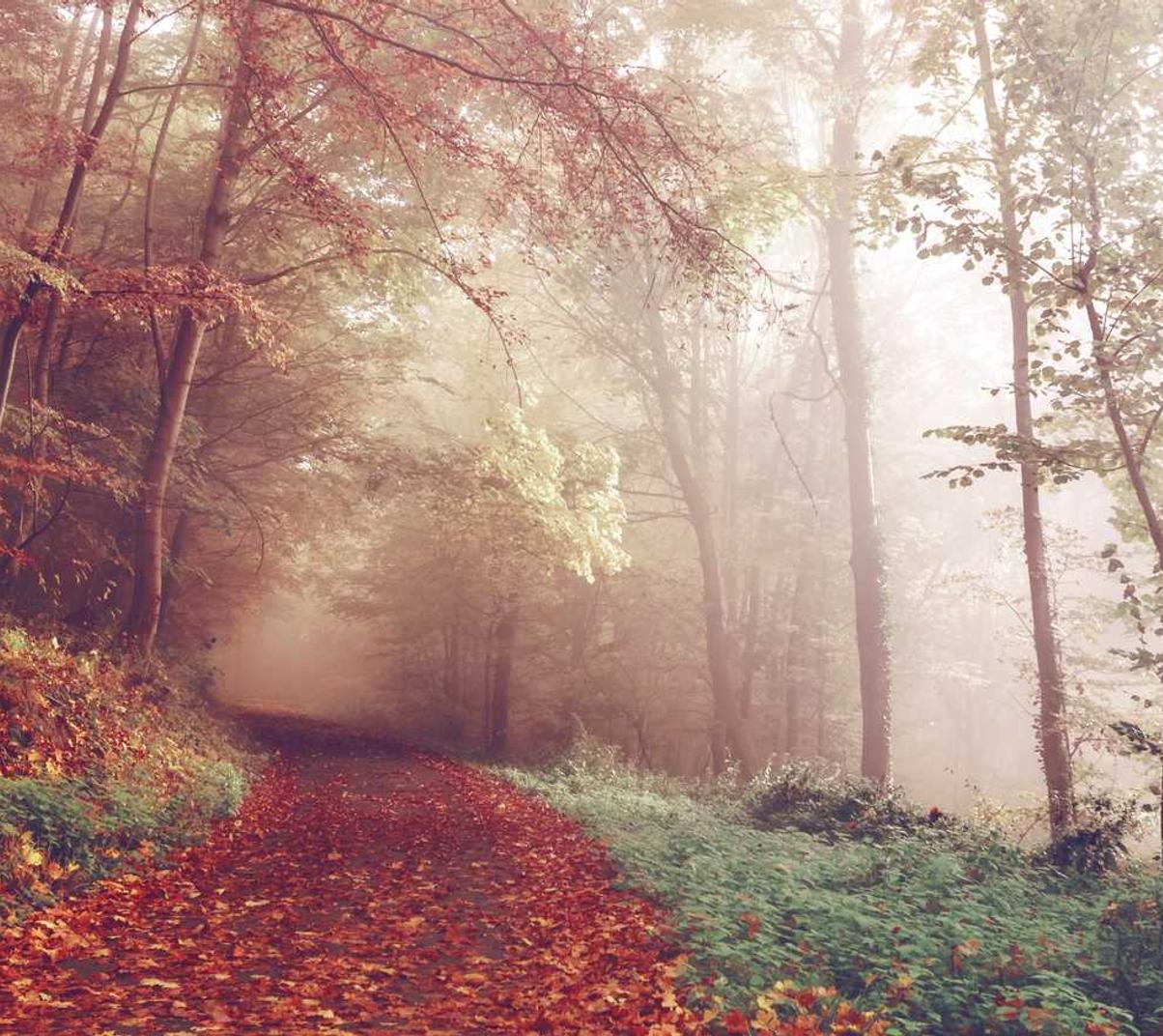 拼多多实名账号:流量卡的局限性?