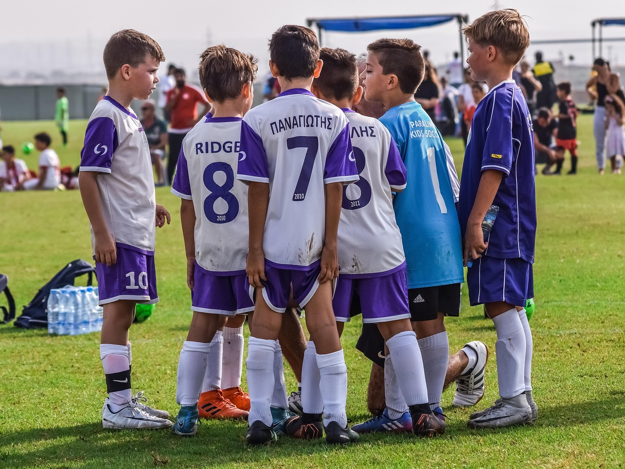 生死狙击辅助- 阿里郎详情下载教程地址app