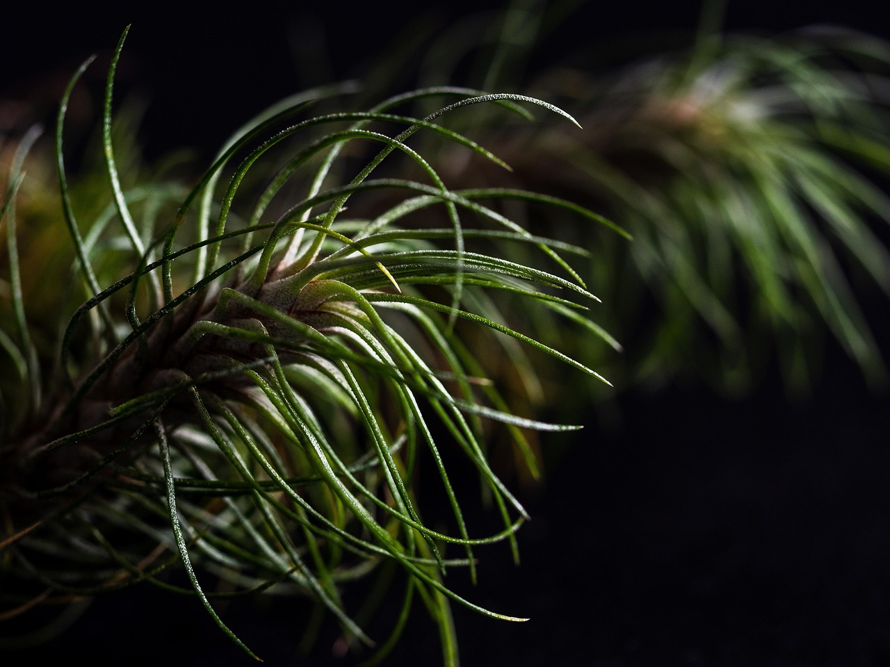 全球香烟行业的统计数据